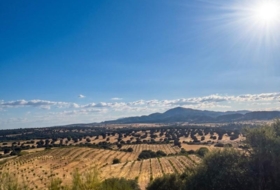 Almorox 170000&nbsp;m²