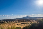 Chalet independiente con terreno en venta en la España, Almorox, ref: TR415606 foto