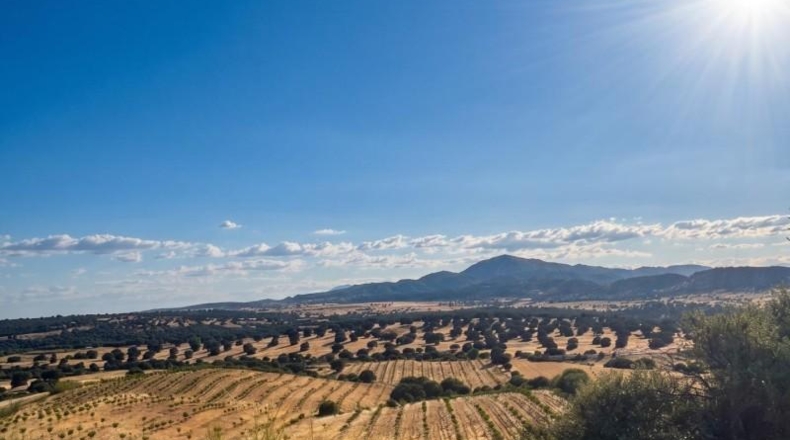 Toledo - Almorox - 170000m2