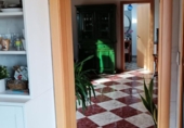 Chalet independiente con terreno en venta en la España, Gandia, ref: TR415623 foto