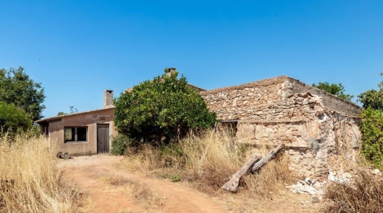Illes Balears - Felanitx - 21058m2