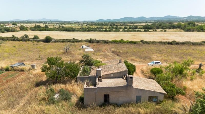 Illes Balears - Felanitx - 21058m2