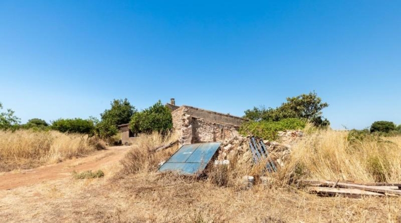 Illes Balears - Felanitx - 21058m2