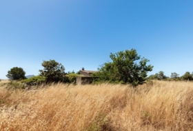 Felanitx 21058&nbsp;m²