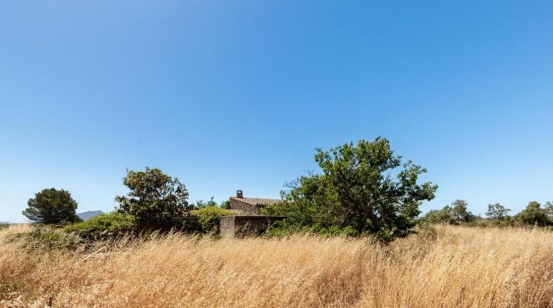 Illes Balears - Felanitx - 21058m2