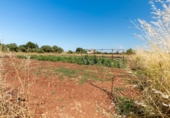 Chalet independiente con terreno en venta en la España, Felanitx, ref: TR415624 foto