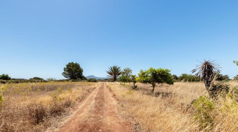 Illes Balears - Felanitx - 21058m2
