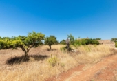 Chalet independiente con terreno en venta en la España, Felanitx, ref: TR415624 foto