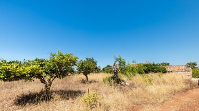 Illes Balears - Felanitx - 21058m2