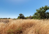 Chalet independiente con terreno en venta en la España, Felanitx, ref: TR415624 foto