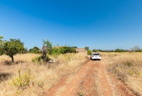 Felanitx 21058&nbsp;m²