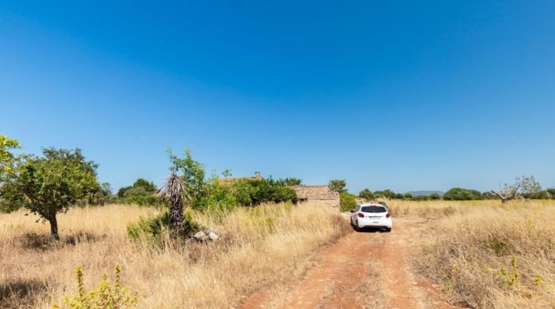 Illes Balears - Felanitx - 21058m2