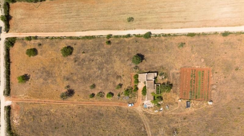 Illes Balears - Felanitx - 21058m2