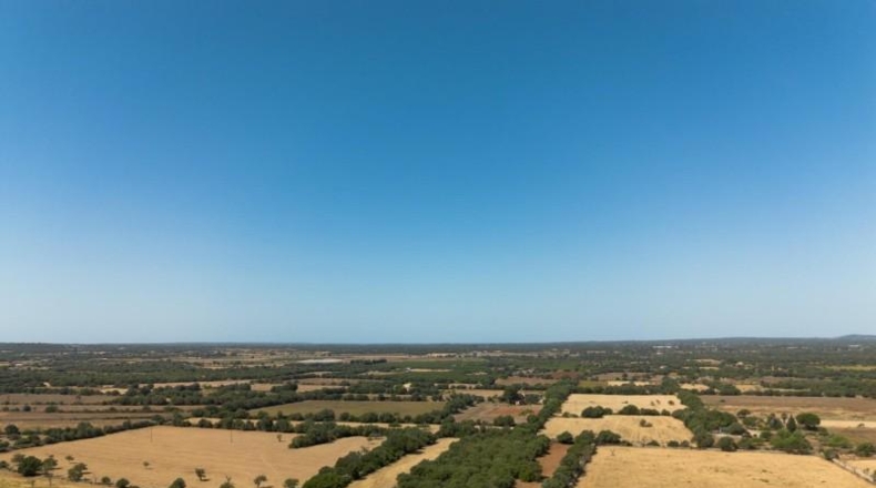 Illes Balears - Felanitx - 21058m2