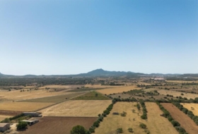 Felanitx 21058&nbsp;m²
