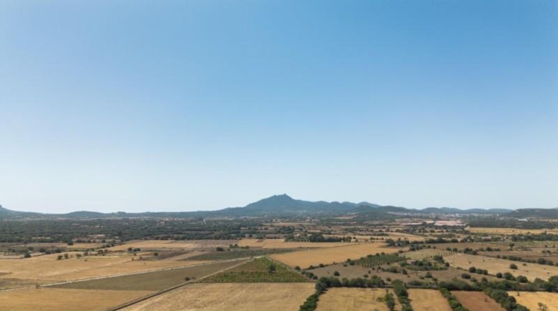Illes Balears - Felanitx - 21058m2