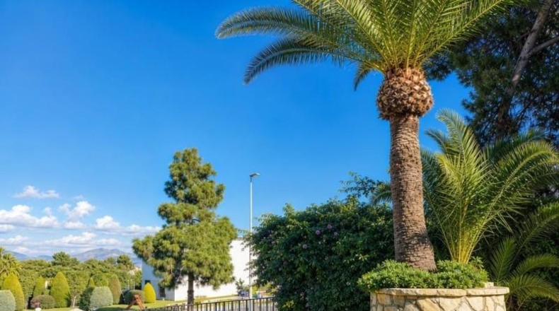 Alicante - Аликанте - 1608m2