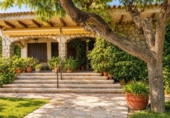 Detached villa with land for sale on España, Alicante, ref: TR349801 photo