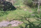 Village house for sale in Pantón de Abaixo ref: TR415639 photo