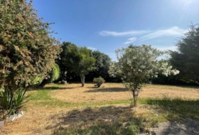 Cuntis 5000&nbsp;m²