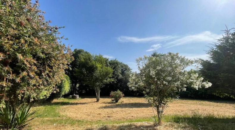 Pontevedra - Cuntis - 5000m2