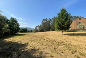 Cuntis 5000&nbsp;m²