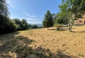 Cuntis 5000&nbsp;m²