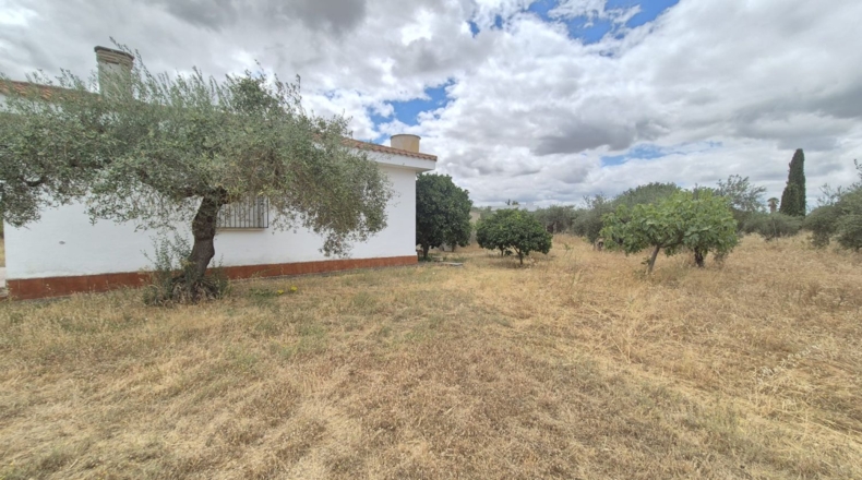 Badajoz - Badajoz - 7600m2