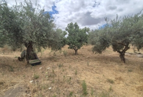 Badajoz 7600&nbsp;m²