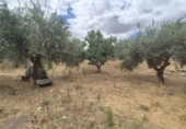 Chalet independiente con terreno en venta en Badajoz ref: TR415648 foto