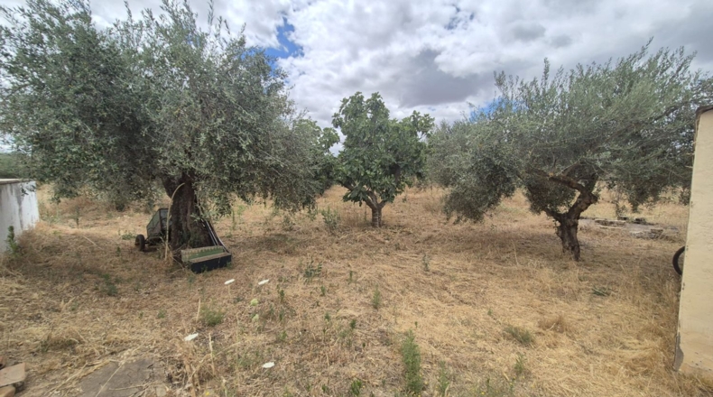 Badajoz - Badajoz - 7600m2