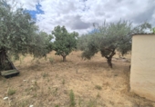 Chalet independiente con terreno en venta en Badajoz ref: TR415648 foto