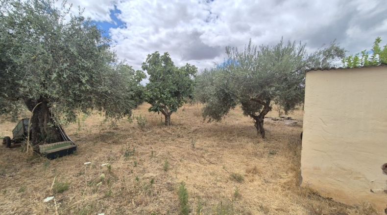 Badajoz - Badajoz - 7600m2