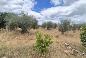 Badajoz 7600&nbsp;m²