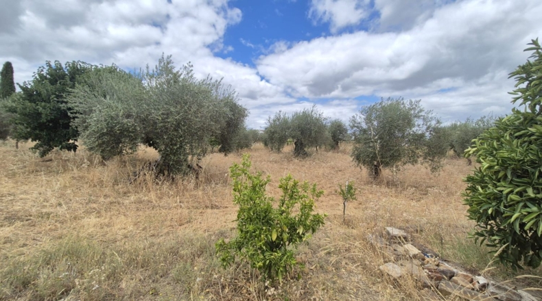 Badajoz - Badajoz - 7600m2