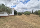 Chalet independiente con terreno en venta en Badajoz ref: TR415648 foto