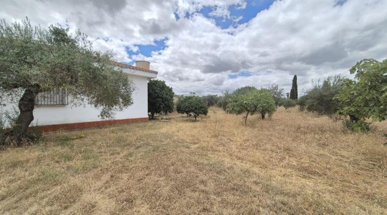 Badajoz - Badajoz - 7600m2
