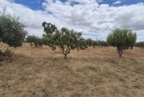 Badajoz 7600&nbsp;m²