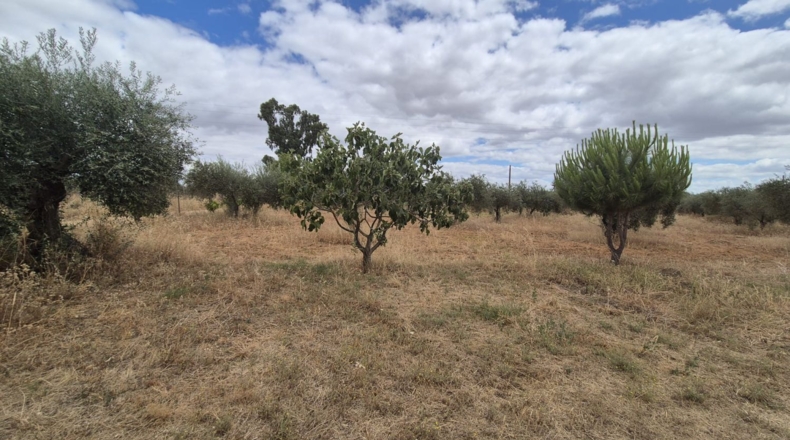 Badajoz - Badajoz - 7600m2