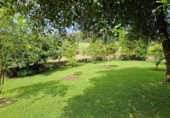 Finca rústica en venta en Caviedes ref: TR415652 foto