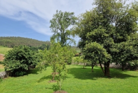 Caviedes 809&nbsp;m²