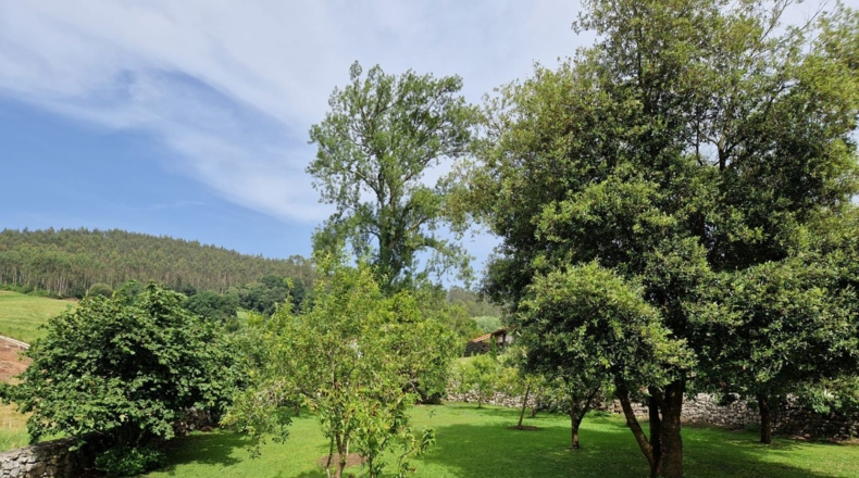 Cantàbria - Caviedes - 809m2