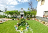 Chalet independiente con terreno en venta en Pepino ref: TR415661 foto