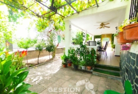 Pepino 615&nbsp;m²