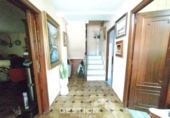 Chalet independiente con terreno en venta en Pepino ref: TR415661 foto