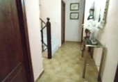 Chalet independiente con terreno en venta en Pepino ref: TR415661 foto