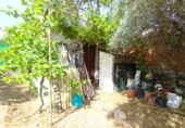 Chalet independiente con terreno en venta en Pepino ref: TR415661 foto