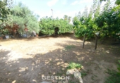 Chalet independiente con terreno en venta en Pepino ref: TR415661 foto
