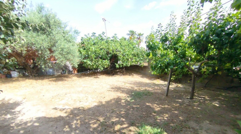 Toledo - Pepino - 615m2