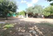 Chalet independiente con terreno en venta en Pepino ref: TR415661 foto